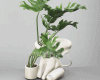 Elephant Plant Vase
