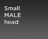 small Male head