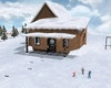 home snow ski + animate