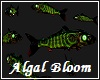 Algal Bloom Fish Swarm