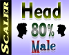 Head Resizer 80%