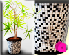 ANN-Mosaico plant2