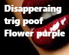 Disapperaing Flower Purp