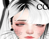 CC|CopyCat Whisker kitty