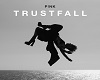 tt1-tt14-trustfall
