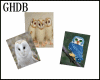 GHDB Cute Owls