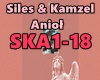 Siles & Kamzel - AnioÅ