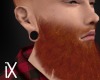 *iX* Ginger beard *iX*
