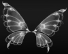 White Butterfly wings