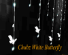 Chubz White Butterfly