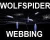 wolfspider webb