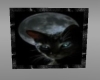 (DiMir)Goth Cat Picture