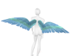 DT| Santos blue wings