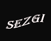 Sezgi özel
