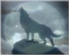 full moon wolf