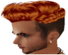 Men's Ginger Short Hair