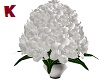 K. Rose Planter White