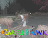 CW Winter Hot Spring
