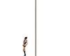 Long Pole For Flags DRV