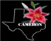 Cameron Texas Tat