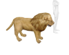 Lion Pet