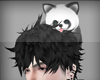 Raccoon on Head