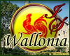 Wallonia, Belgium Badge