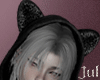 Kitty purr