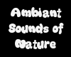 Ambiant sounds of nature