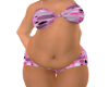 Gorda Chubby GG1
