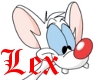 LEX - Pinky & Brain