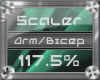 (3) Arm/Bicep (117.5%)
