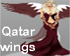 Wings Qatar Flag