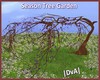 |DvA| Season Tree Garden