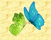 GT~Butterfly enhancer