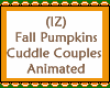 Pumpkins Cuddle Couples