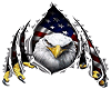 American Eagle 8