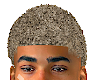 RODMAN SHORT FRO