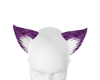 lilac ears