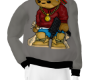 hood teddy bear