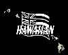 hawaiian4