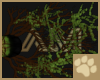 ~AM~ Dúlra Branches v1