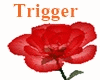 Trigger Red Rose