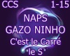 NAPS-C est le Carre le S