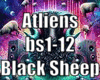 Black Sheep