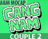 Gangnam COUPLE Dance 2