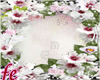 [fe] flower white*Frame