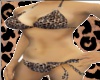 Leopard MODEL Bikini