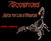 Scorpions-Rock you like