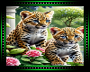 🐆 Leopard Cubs BG